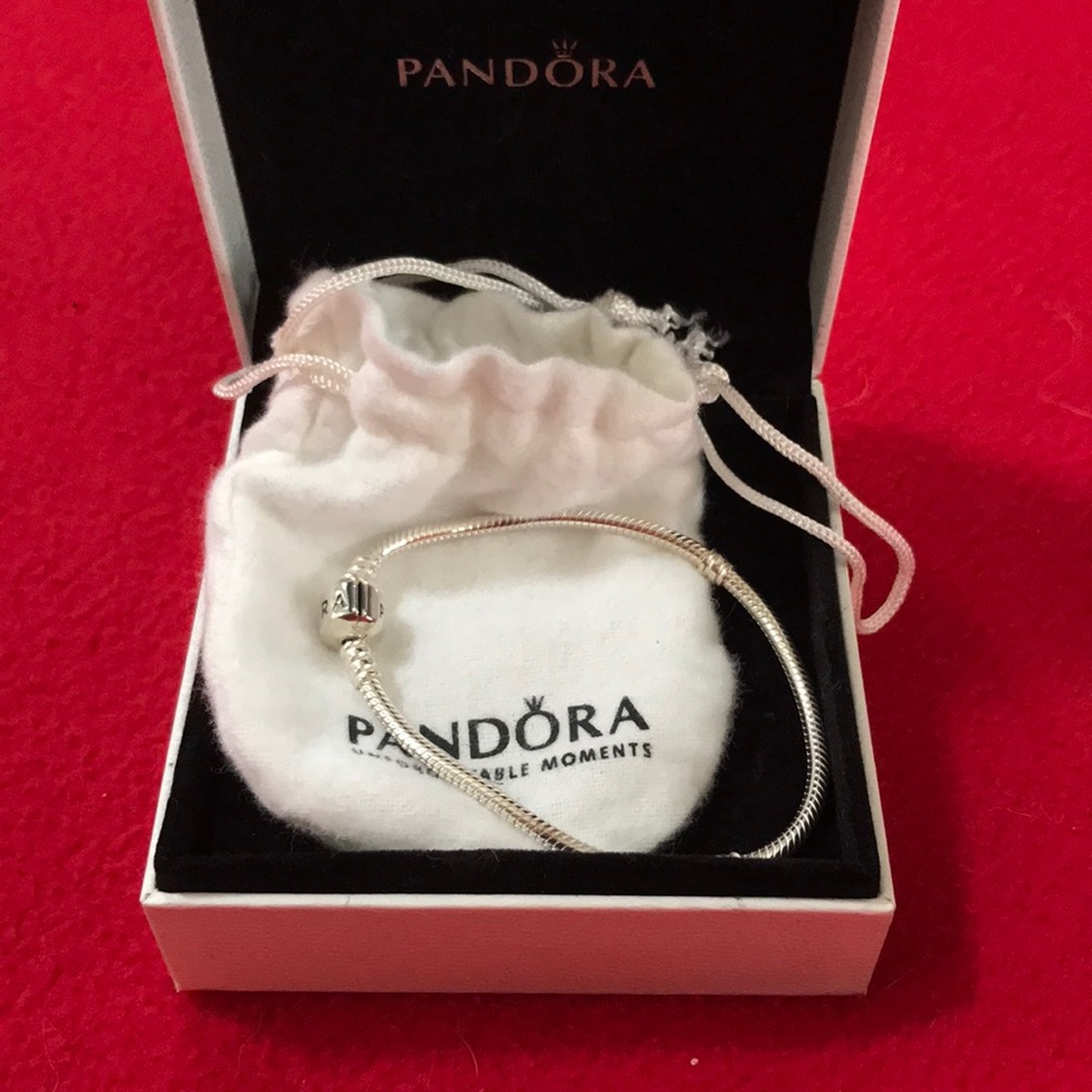 Brand New Pandora Bracelt